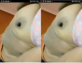 Amateur video of Indian bhabhi with her big melons